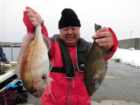大進丸（新潟） 釣果