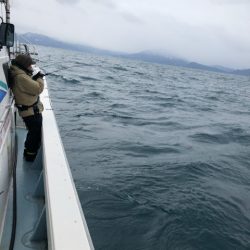 あみや渡船 JIGBOY 釣果