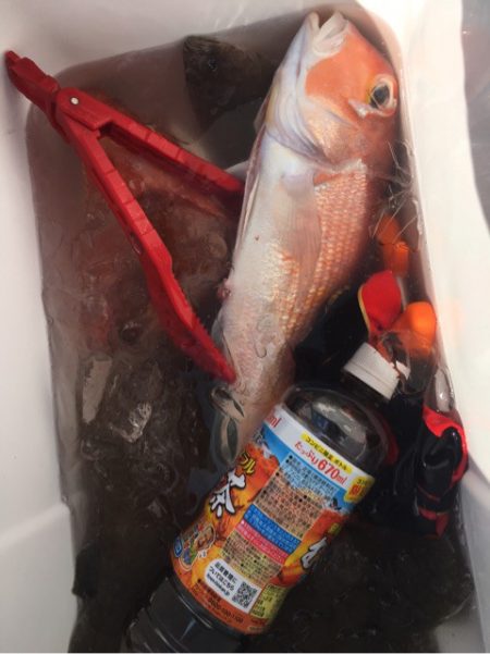 真正丸 釣果