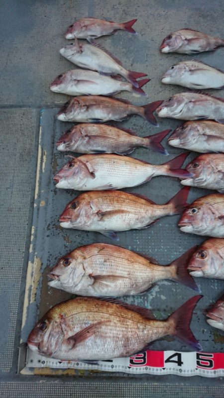 FISHING RISKY 釣果