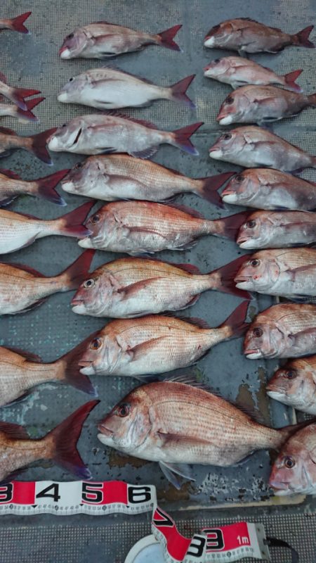 FISHING RISKY 釣果