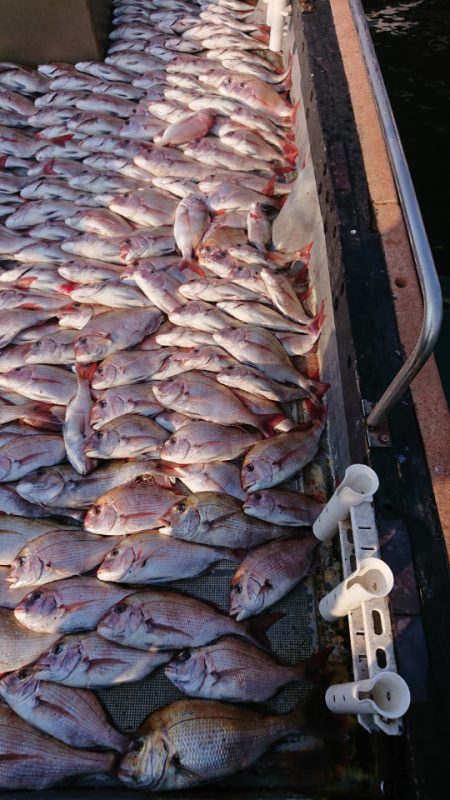 FISHING RISKY 釣果