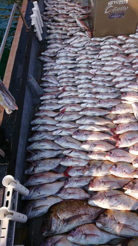 FISHING RISKY 釣果