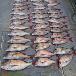 FISHING RISKY 釣果