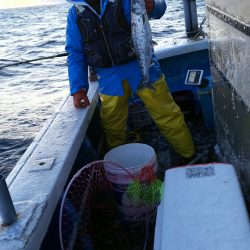 芳陽丸 釣果