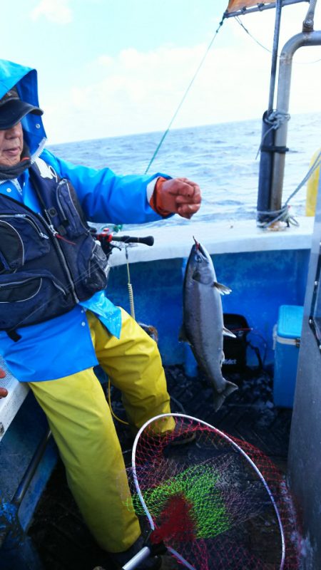 芳陽丸 釣果