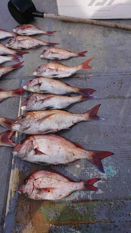 FISHING RISKY 釣果