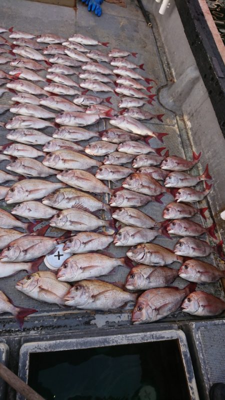 FISHING RISKY 釣果