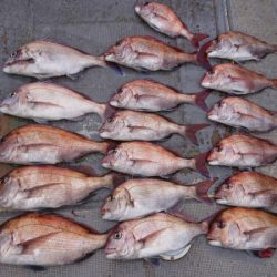 FISHING RISKY 釣果