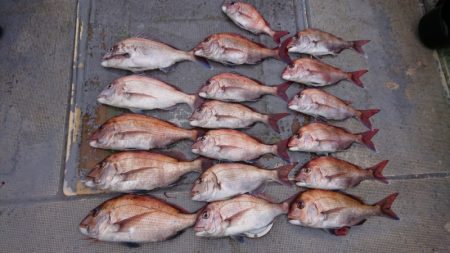 FISHING RISKY 釣果