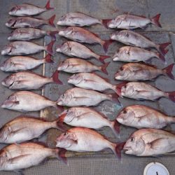 FISHING RISKY 釣果