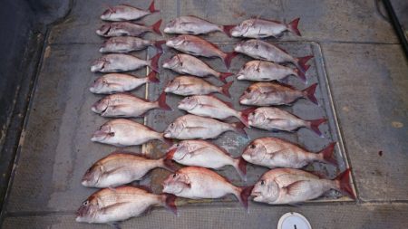 FISHING RISKY 釣果