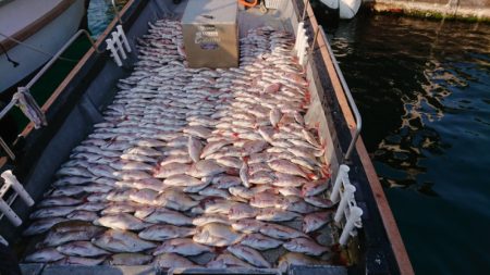 FISHING RISKY 釣果