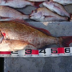 FISHING RISKY 釣果