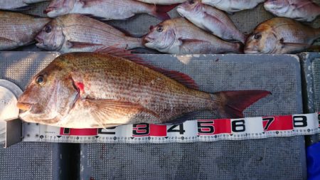 FISHING RISKY 釣果