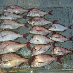 FISHING RISKY 釣果