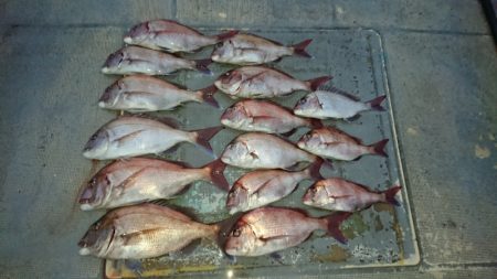 FISHING RISKY 釣果