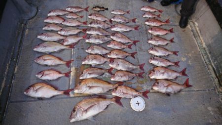 FISHING RISKY 釣果