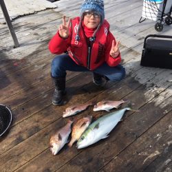 由良海上釣り堀 海人 釣果