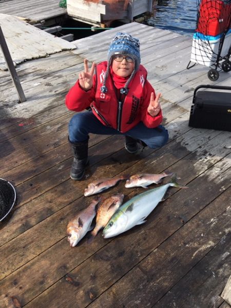 由良海上釣り堀 海人 釣果