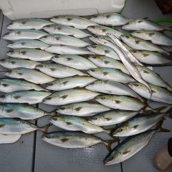 sea boss　シーボス 釣果