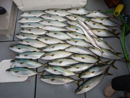 sea boss　シーボス 釣果