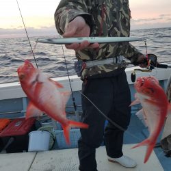 香織丸 釣果