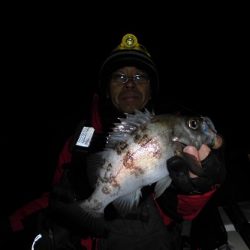 ルアー船マヒマヒ 釣果