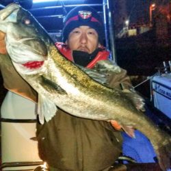 オーシャンマスター 釣果