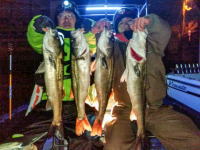 オーシャンマスター 釣果