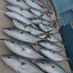 旭星釣りセンター 釣果