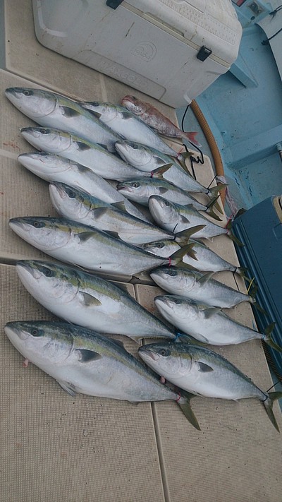 旭星釣りセンター 釣果