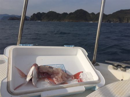 マタウマリンサービス 釣果