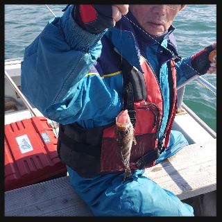 内浜丸 釣果