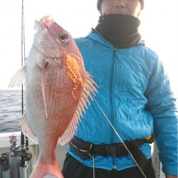 マタウマリンサービス 釣果