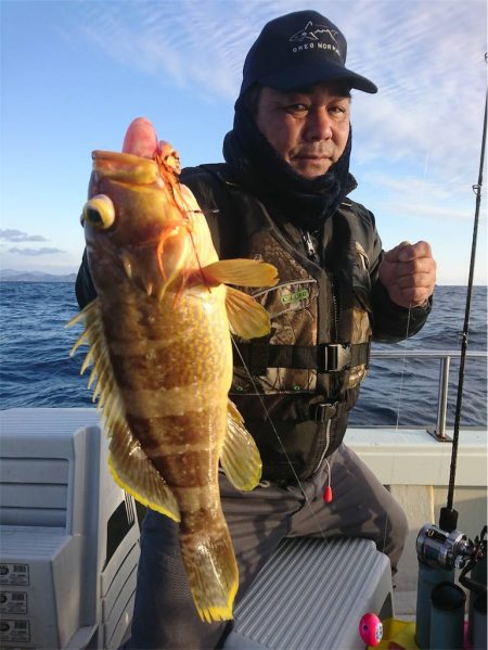 マタウマリンサービス 釣果