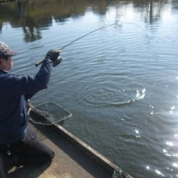 吉羽園 釣果