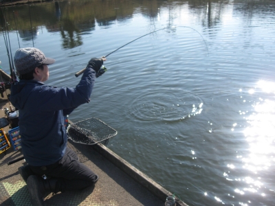 吉羽園 釣果