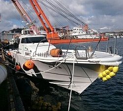 海龍丸(福岡) 釣果