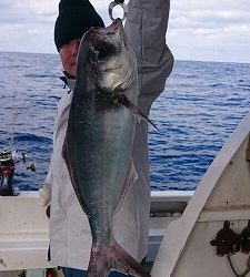 海龍丸(福岡) 釣果