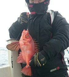 海龍丸(福岡) 釣果