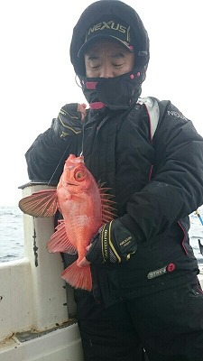 海龍丸(福岡) 釣果