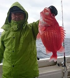 海龍丸(福岡) 釣果