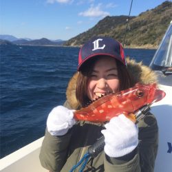 マタウマリンサービス 釣果