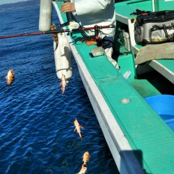 モンロー号 釣果