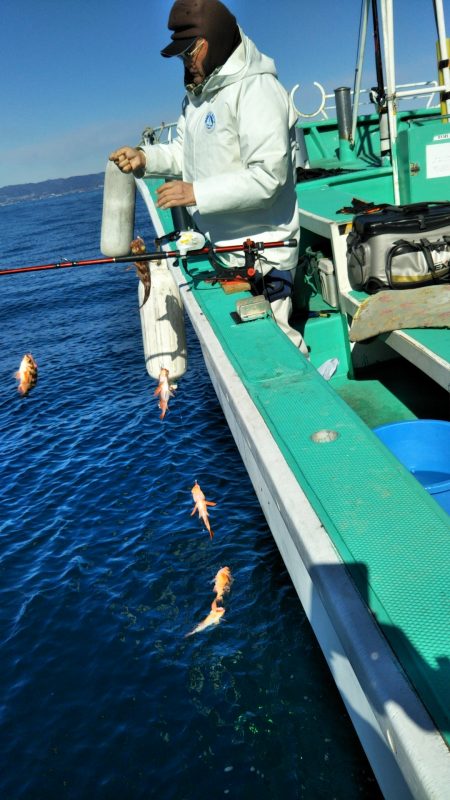 モンロー号 釣果