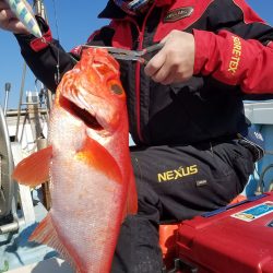 香織丸 釣果