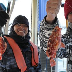 松本釣船２ 釣果