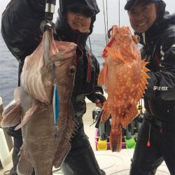 マタウマリンサービス 釣果