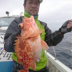 マタウマリンサービス 釣果